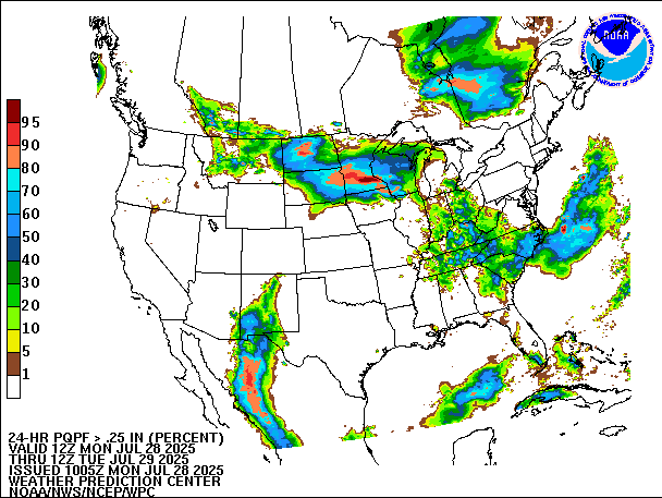 24-Hour PQPF valid 12Z July 29, 2025